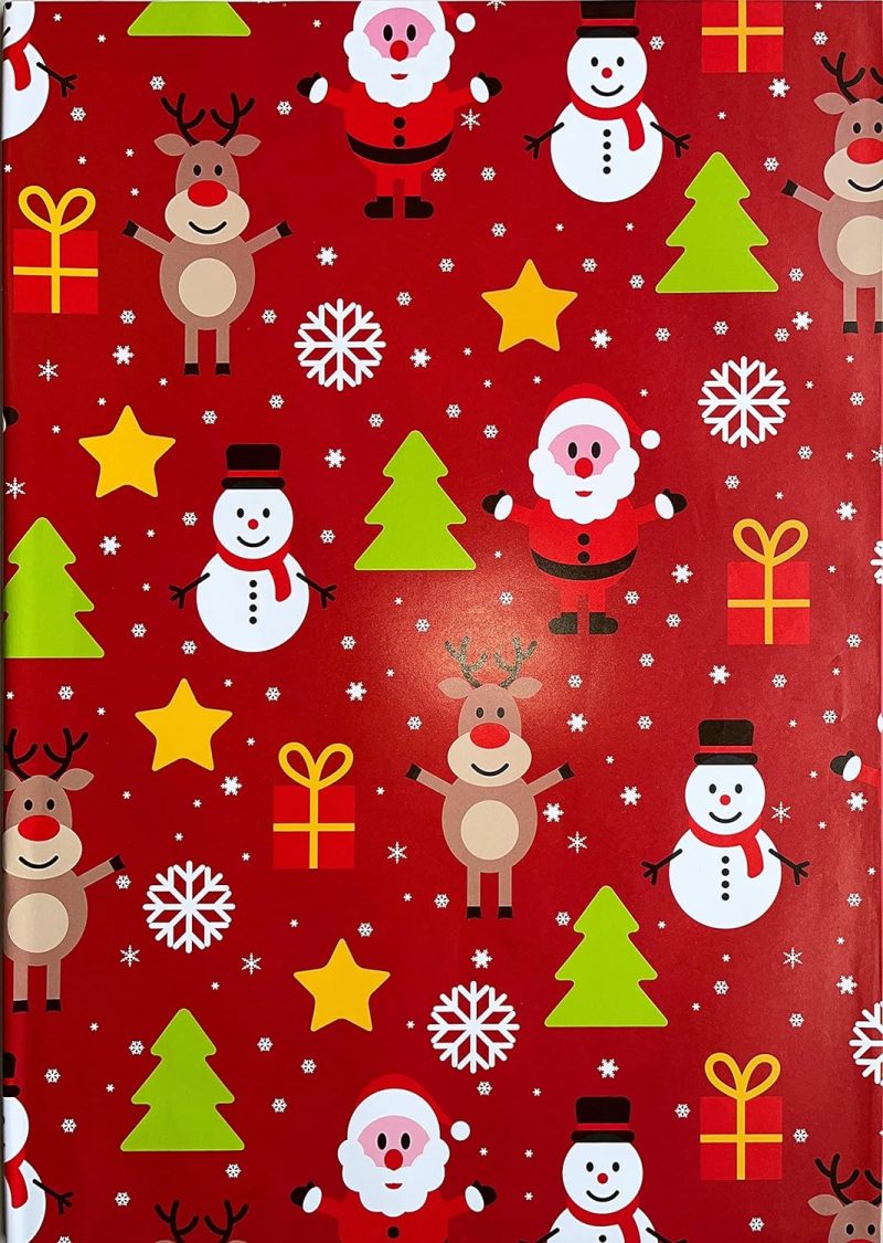 ASSORTED MATT PAPER TYPE WRAPPING PAPER 50X70CM - Image 6