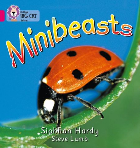 Minibeasts : Band 01a/Pink a - 9780007185375
