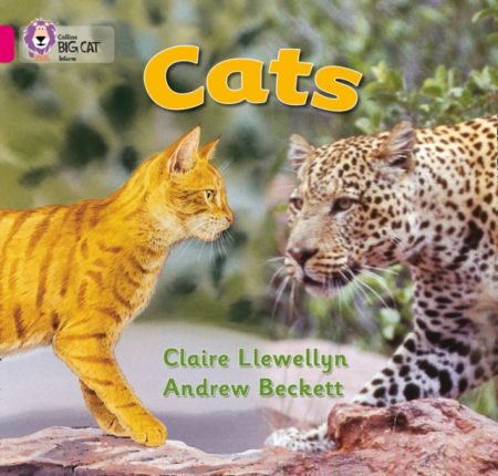 Cats : Band 01b/Pink B - 9780007185481