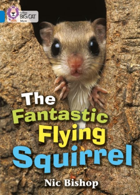 The Fantastic Flying Squirrel : Band 04/Blue - 9780007185832