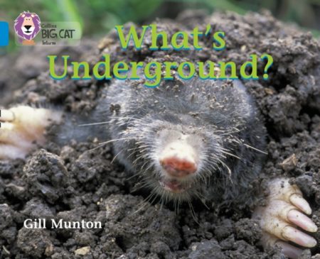 What’s Underground : Band 04/Blue - 9780007185863
