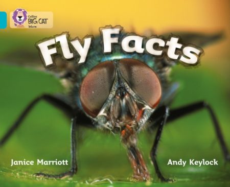 Fly Facts : Band 07/Turquoise - 9780007186082