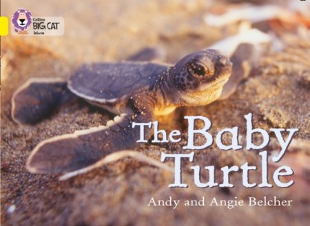 The Baby Turtle : Band 03/Yellow - 9780007186594