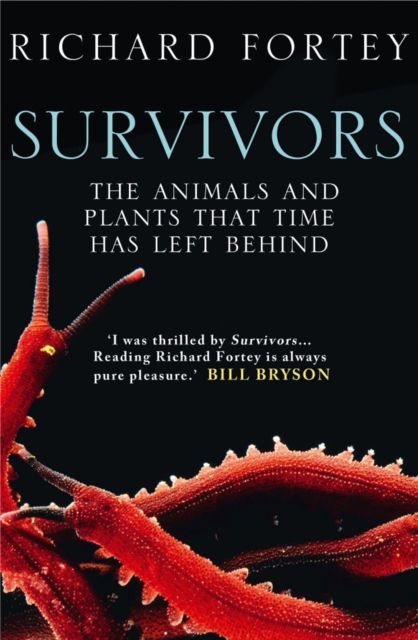 Survivors : The Animals and Plants That Time Has Left Behind - 9780007209873