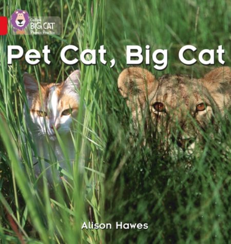 Pet Cat, Big Cat : Band 02a/Red a - 9780007235872