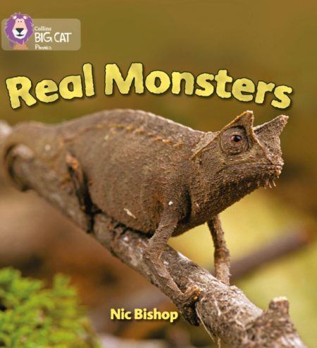 Real Monsters : Band 03/Yellow - 9780007235988