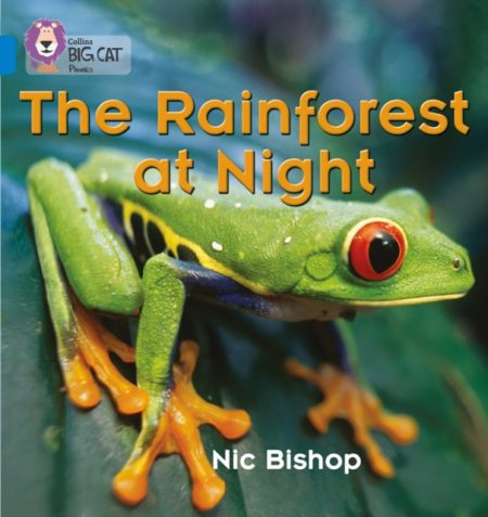 The Rainforest at Night : Band 04/Blue - 9780007236053