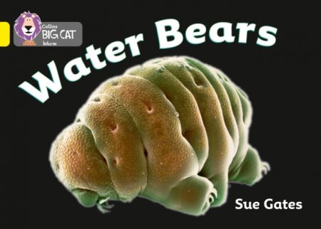 Water Bears : Band 03/Yellow - 9780007329236