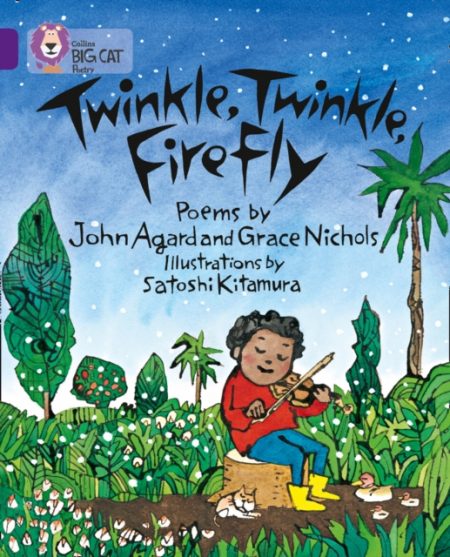 Twinkle, Twinkle, Firefly : Band 08/Purple - 9780007336142