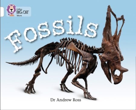 Fossils : Band 10/White - 9780007336197
