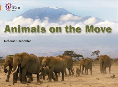 Animals on the Move : Band 12/Copper - 9780007336241