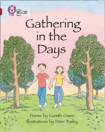 Gathering in the Days : Band 14/Ruby - 9780007336357