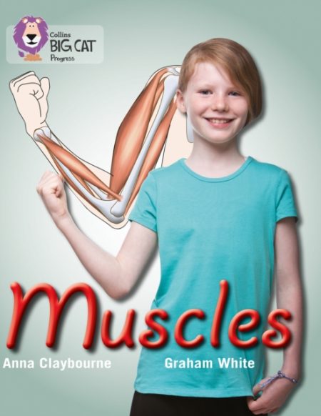 Muscles : Band 03 Yellow/Band 16 Sapphire - 9780007428762