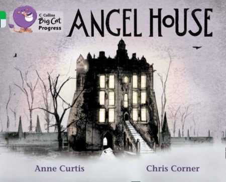 Angel House : Band 05 Green/Band 17 Diamond - 9780007428922
