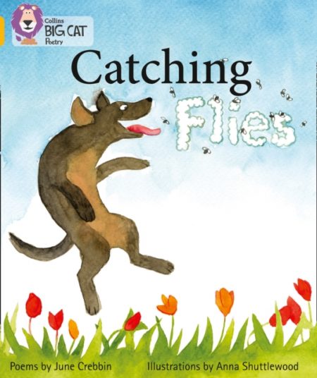 Catching Flies : Band 09/Gold - 9780007461813