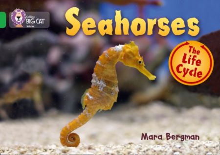 Seahorses : Band 05/Green - 9780007461912