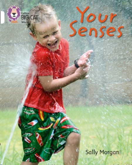 Your Senses : Band 10/White - 9780007462063