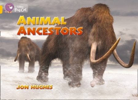 Animal Ancestors Workbook - 9780007474400