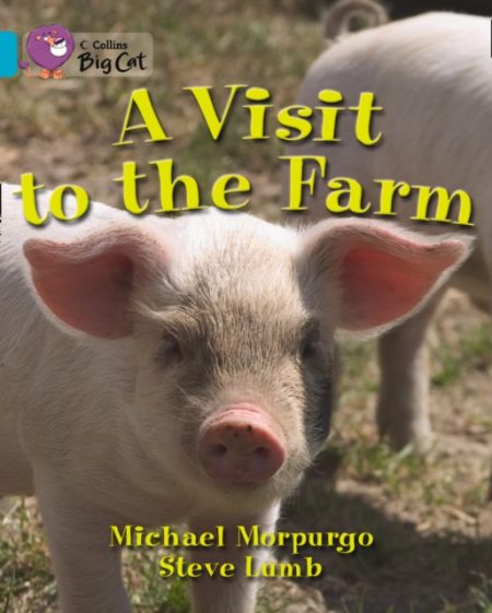 A Visit to the Farm Workbook - 9780007474998