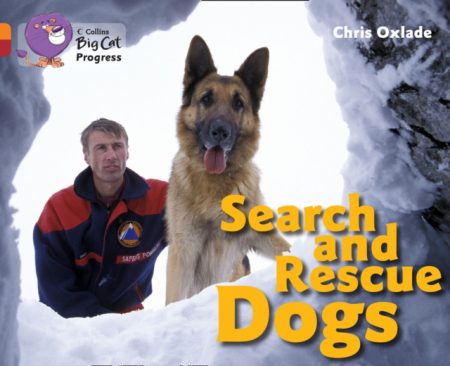 Search and Rescue Dogs : Band 06 Orange/Band 14 Ruby - 9780007498376