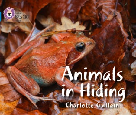 Animals in Hiding : Band 04/Blue - 9780007512850