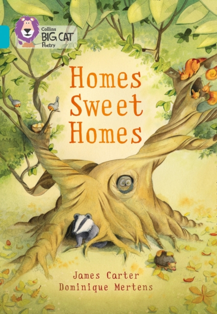 Homes Sweet Homes : Band 07/Turquoise - 9780007591107