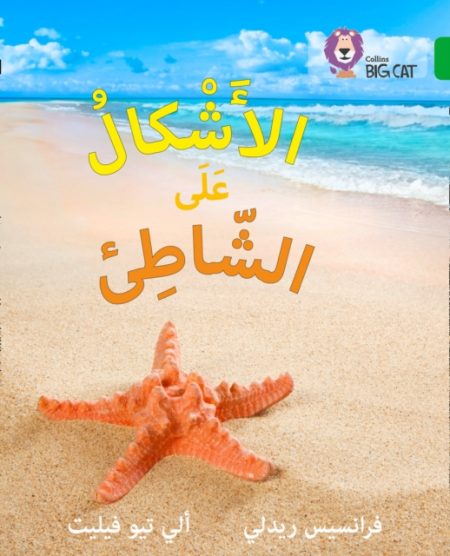 Shapes on the Seashore : Level 5 - 9780008156411