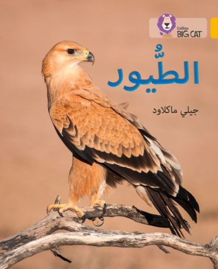 Birds : Level 9 - 9780008156497