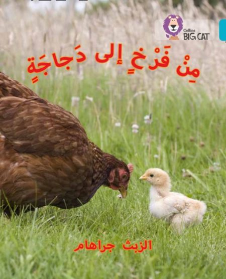 Chick to Hen : Level 7 - 9780008185626