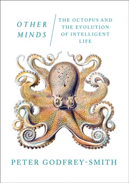 Other Minds : The Octopusand the Evolution of Intelligent Life - 9780008226312