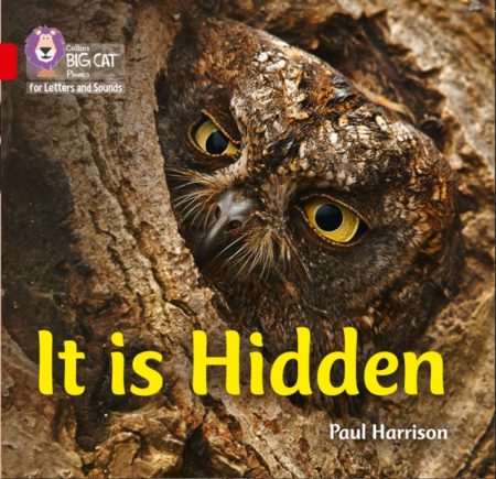 It is Hidden : Band 02b/Red B - 9780008251512