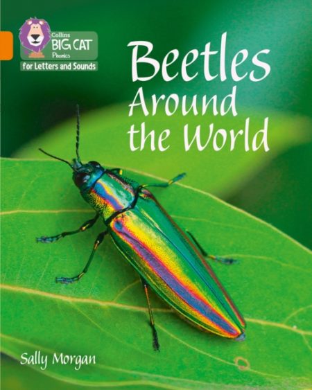 Beetles Around the World : Band 06/Orange - 9780008251703