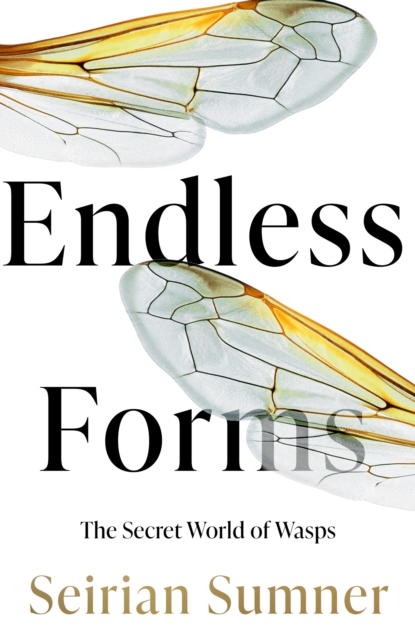 Endless Forms : The Secret World of Wasps - 9780008394479