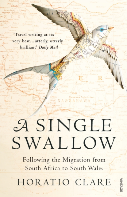 A Single Swallow : Following An Epic Journey From South Africa To South Wales - 9780099526315