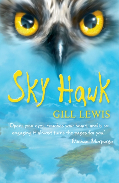 Sky Hawk - 9780192756244