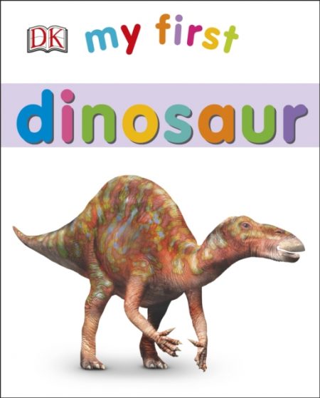 My First Dinosaur - 9780241237588