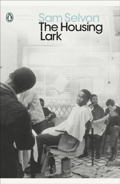 The Housing Lark - 9780241441329