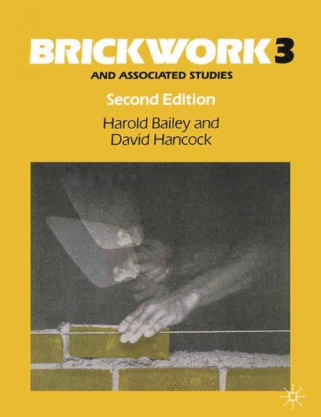 Brickwork 3 and Associated Studies - 9780333519578