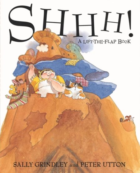 Shhh! Lift-the-Flap Book - 9780340746622