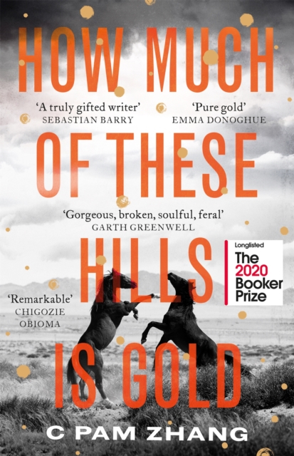 How Much of These Hills is Gold : 'A tale of two sisters during the gold rush ... beautifully written' The i, Best Books of the Year - 9780349011479
