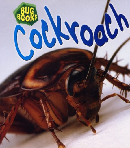 Cockroach - 9780431019048