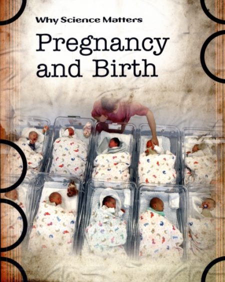 Pregnancy and Birth - 9780431041001