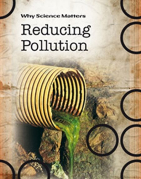 Reducing Pollution - 9780431041018