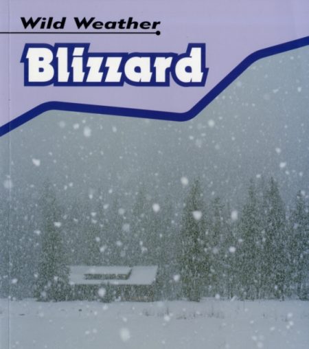 Blizzard - 9780431150925