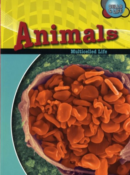 Animals - 9780431174709
