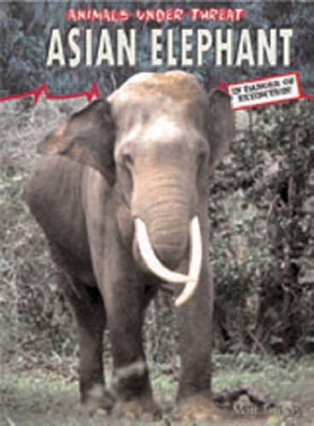 Asian Elephant - 9780431189093