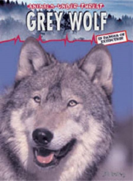 Grey Wolf - 9780431189116