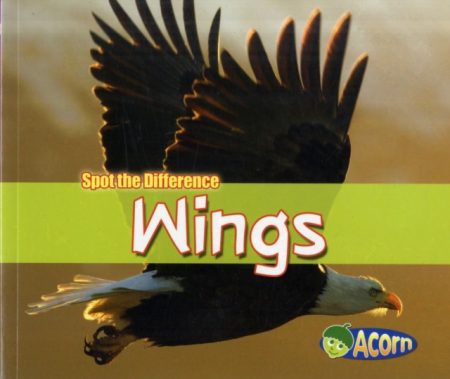 Wings - 9780431191447