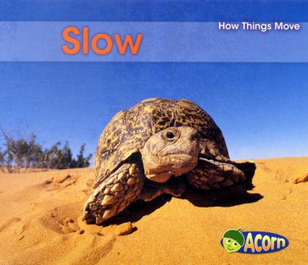 Slow - 9780431193298