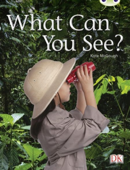 Bug Club Guided Non Fiction Reception Red A What Can You See? - 9780433004707